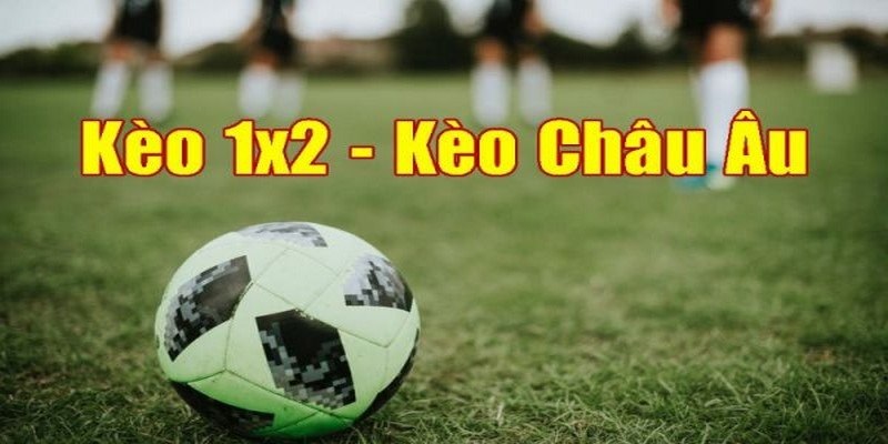 Kèo Châu Âu Là Gì? cách Đọc Kèo Chuẩn Cho Tân Thủ